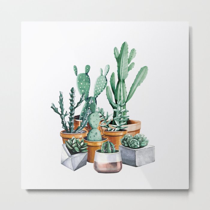 Potted Cacti Metal Print