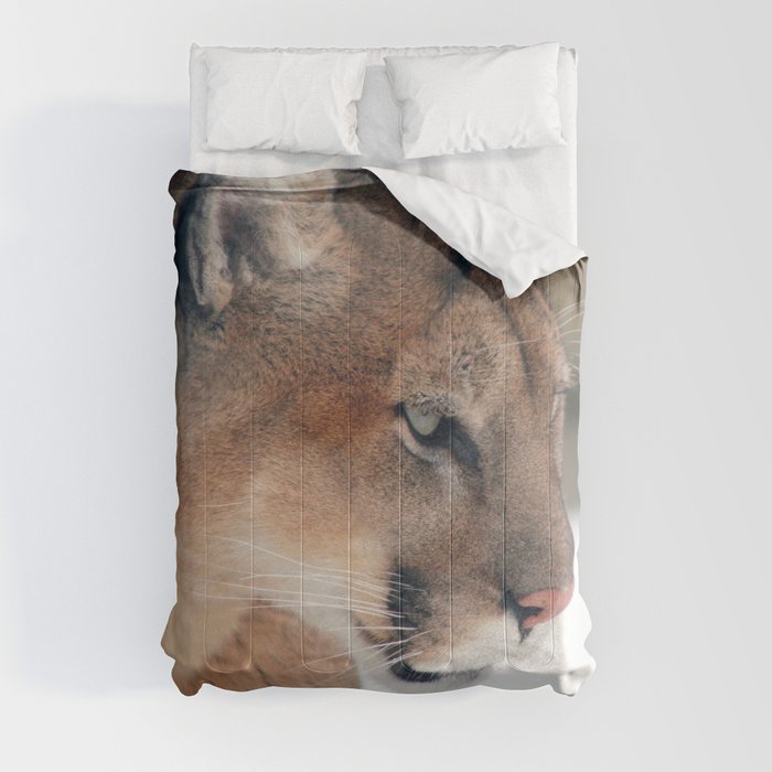 Mountain Lion Comforter