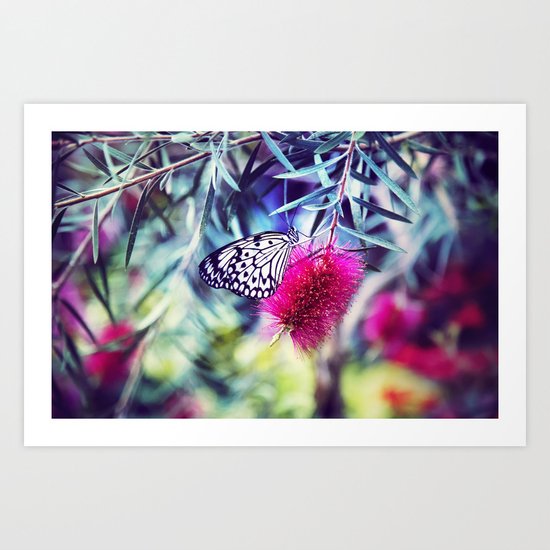 Butterfly Art Print