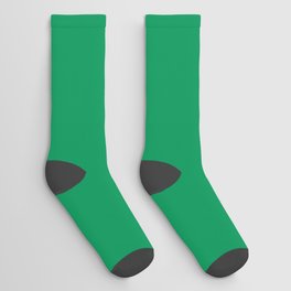 NOW FERN GREEN SOLID COLOR Socks