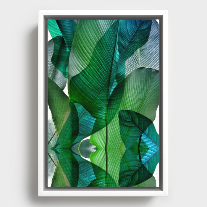Framed Canvas