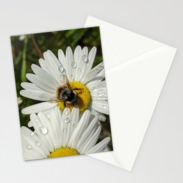 Busy As A Bee: Tattered But Not Tired Stationery Card