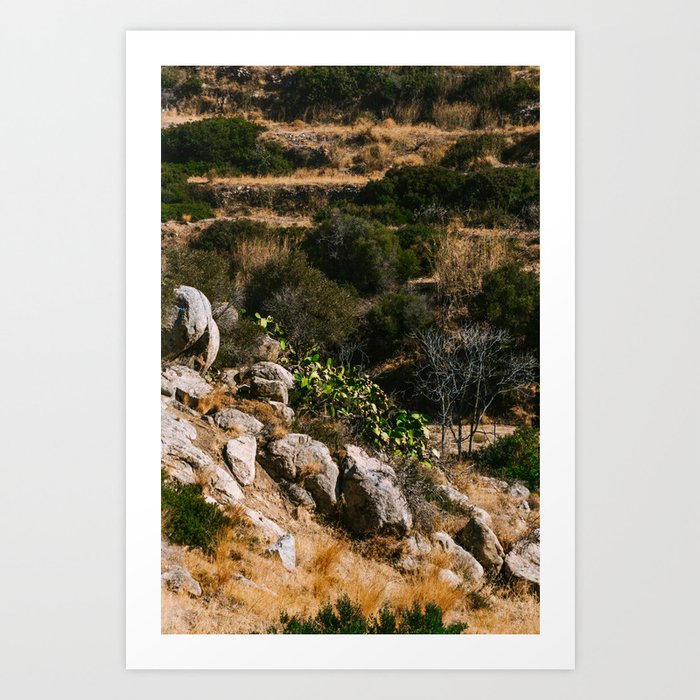 Greek Landscape | Hill full of Plants | Europe Nature and Travel Photography Art Print