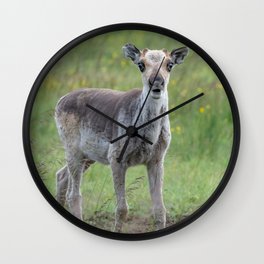 Reindeer (Rangifer tarandus) Wall Clock