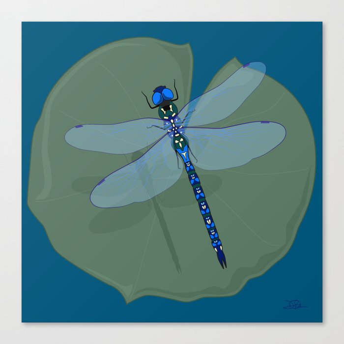 Dragonfly Magic Canvas Print