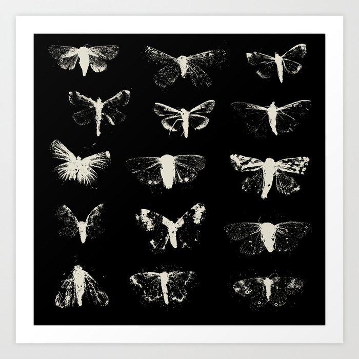 moths Art Print
