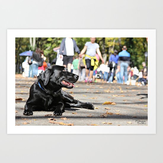 Dogs world Art Print
