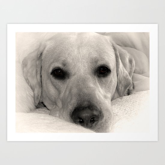 Look into my eyes Art Print