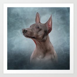 Drawing Xoloitzcuintle - hairless mexican dog breed Art Print