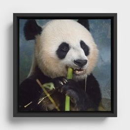 Panda Framed Canvas