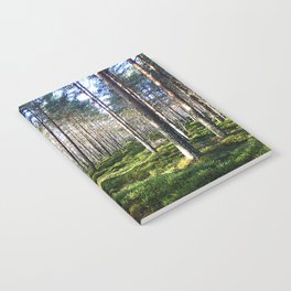 Sunlight Through a Scottish Birch and Pine Forest in Afterglow Notebook