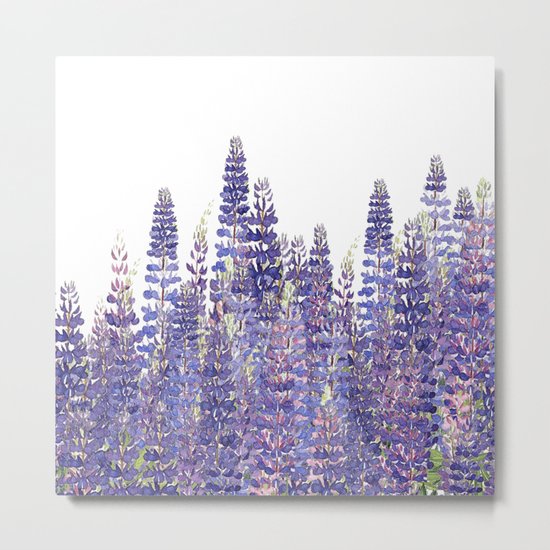Just Lupine Metal Print