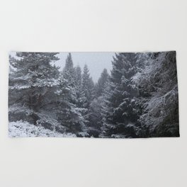 Winter Snow Scene in a Scottish Highlands Pine Forest Beach Towel