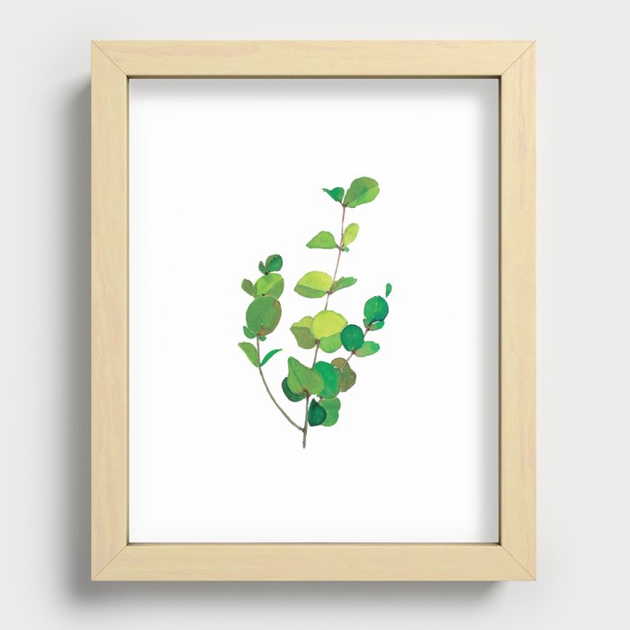 Botanic Watercolour: Eucalyptus Recessed Framed Print