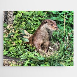 Otter Lookout Jigsaw Puzzle