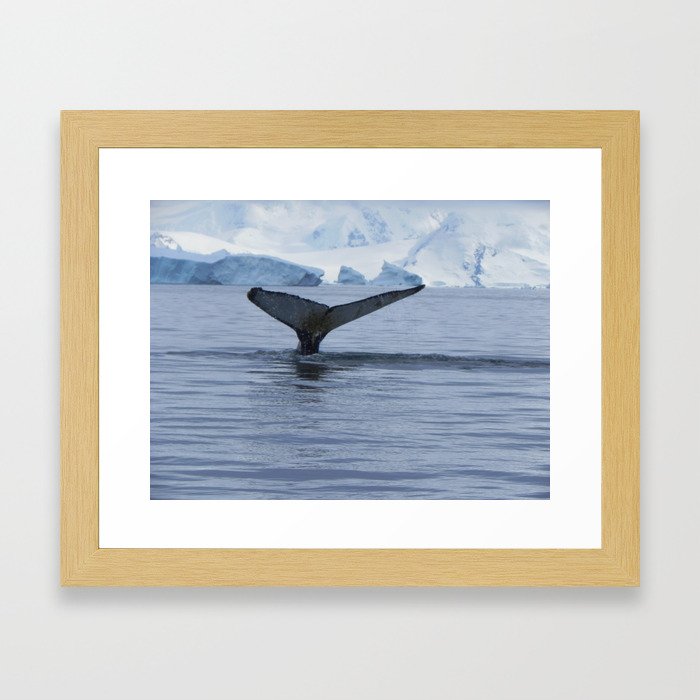 whale Framed Art Print