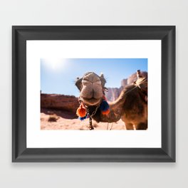 Camel Wadi Rum desert | Jordan | Nature, travel and landscape photography | Art and photo print Framed Art Print