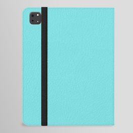 Dead Sea Blue iPad Folio Case