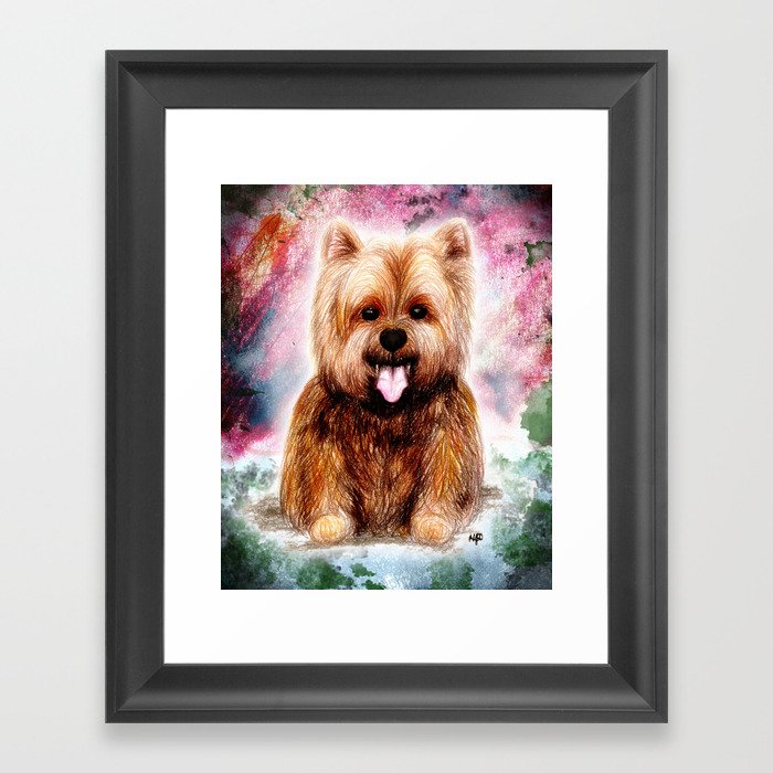 Yala the Yorkshire Terrier Framed Art Print