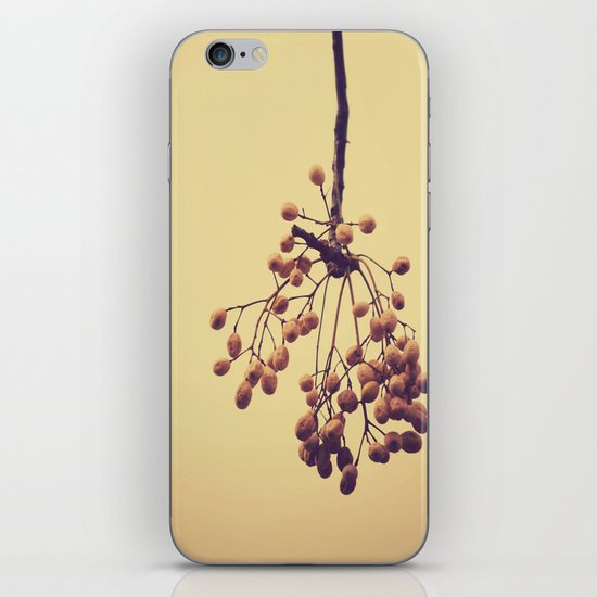 Autumn life (IV) iPhone & iPod Skin