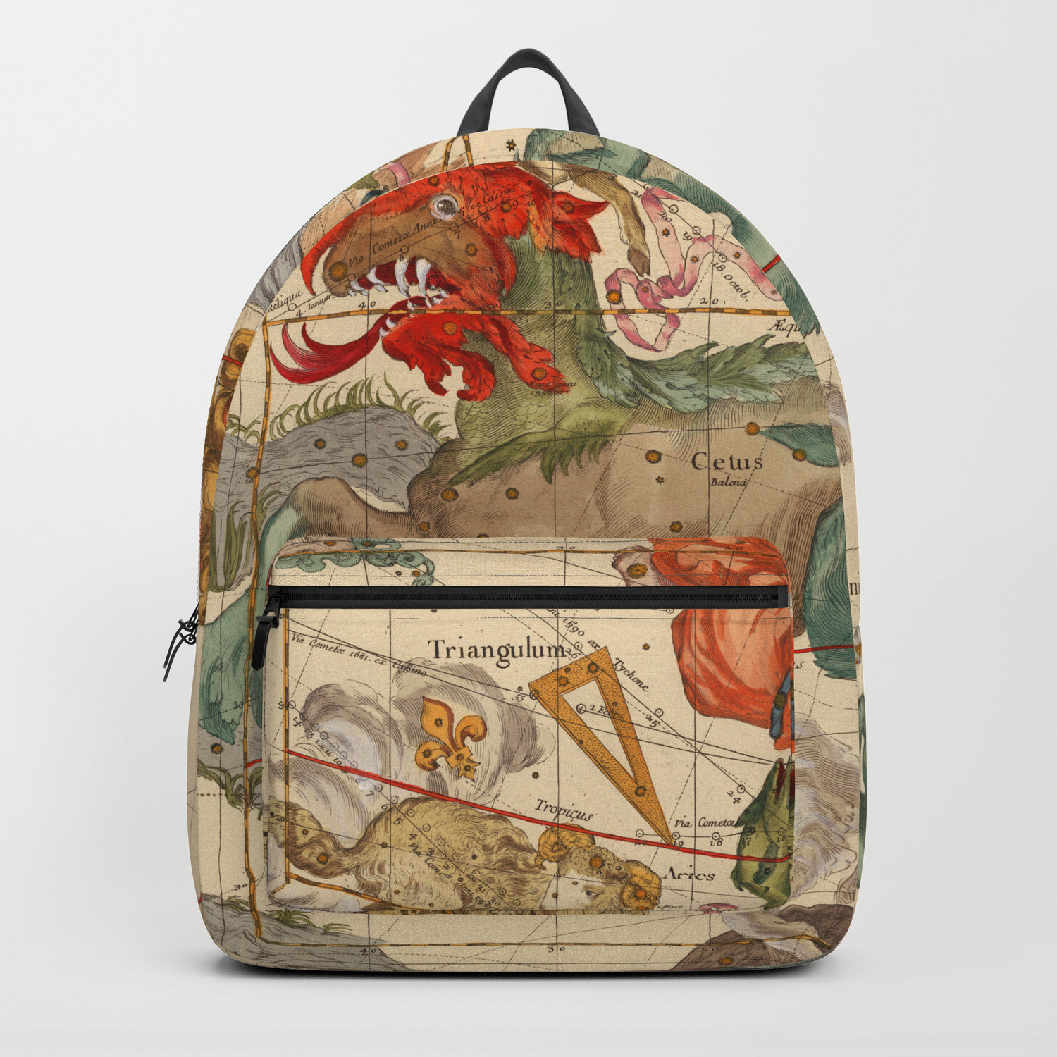 vintage constellation luggage