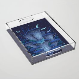 Blue Oyster Acrylic Tray