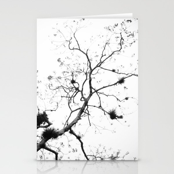 Dendritica Stationery Cards