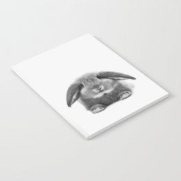 Bunny rabbit sitting Notebook
