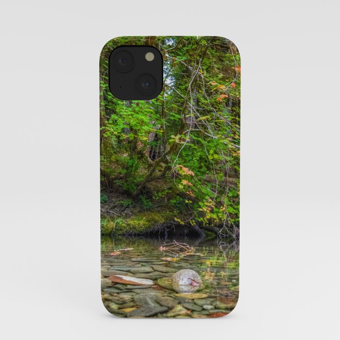 Morning in the Hoh Rain Forest 2 iPhone Case