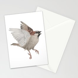 House Sparrow Stationery Cards