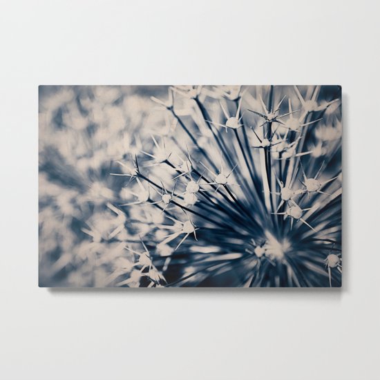 Blue Nature Metal Print