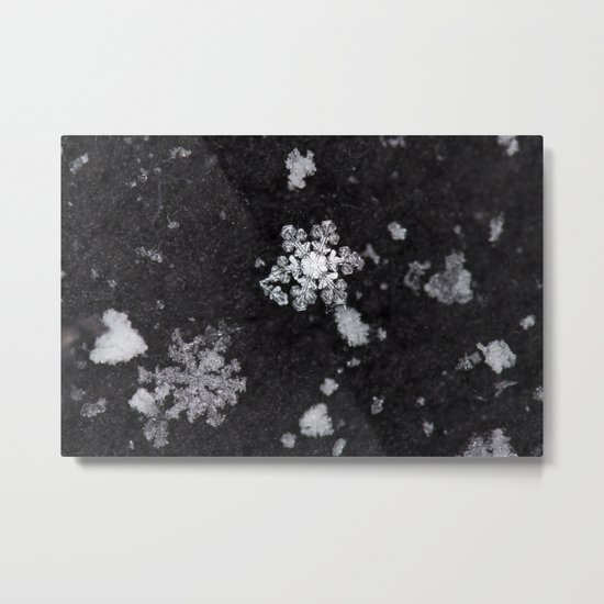Snowflakes Metal Print