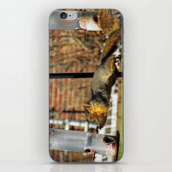 Can't Quite Reach iPhone & iPod Skin