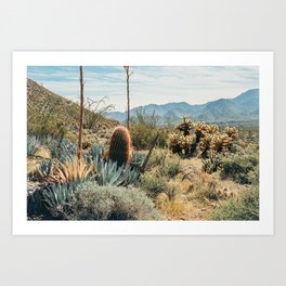 California Desert Landscape With Cactus Plants Art Print