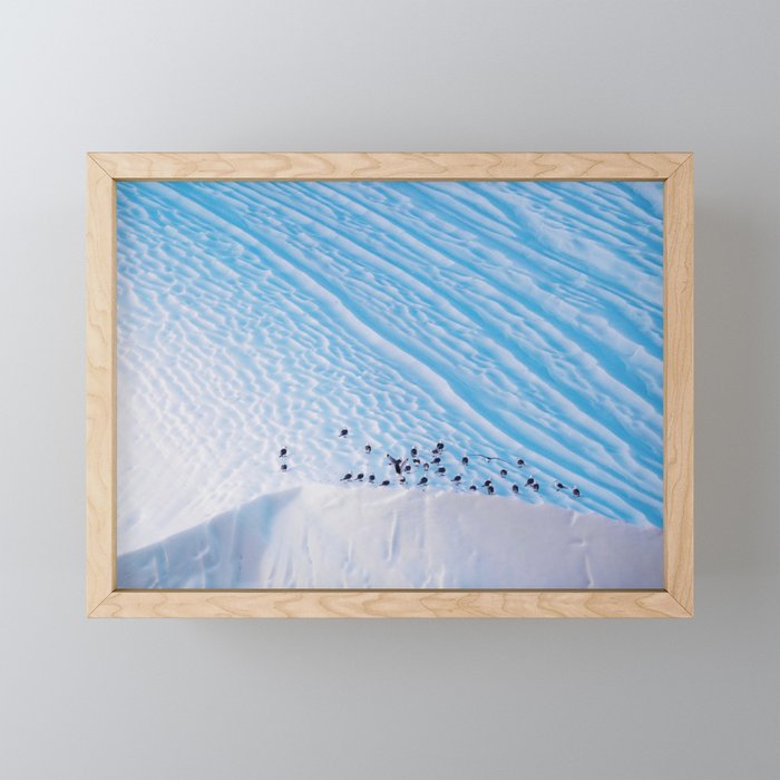 Arctic Gulls Framed Mini Art Print