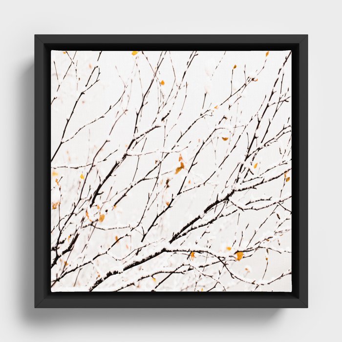 Framed Canvas