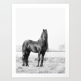 Dark Horse - Nature Photography Art Print
