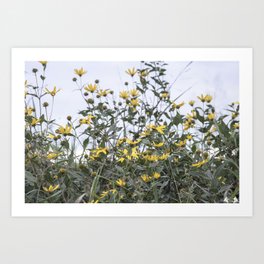 Eclipsed Pangaea Studios Art Print | Spring, Digital, Flowers, Photo, Magic, Counry, Missouri, Bloom 