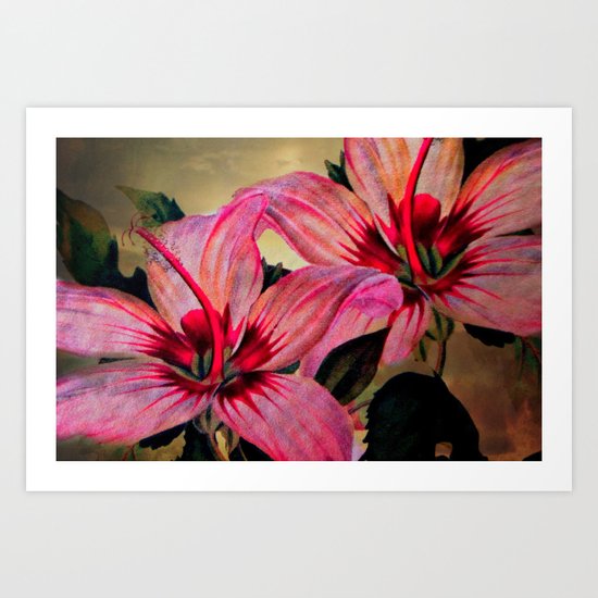 Vintage Painted Pink Lily Art Print