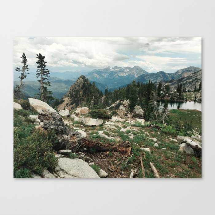 Canvas Print