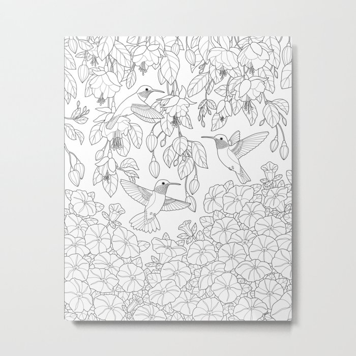 Hummingbirds And Flowers Coloring Page Metal Print By Csforest