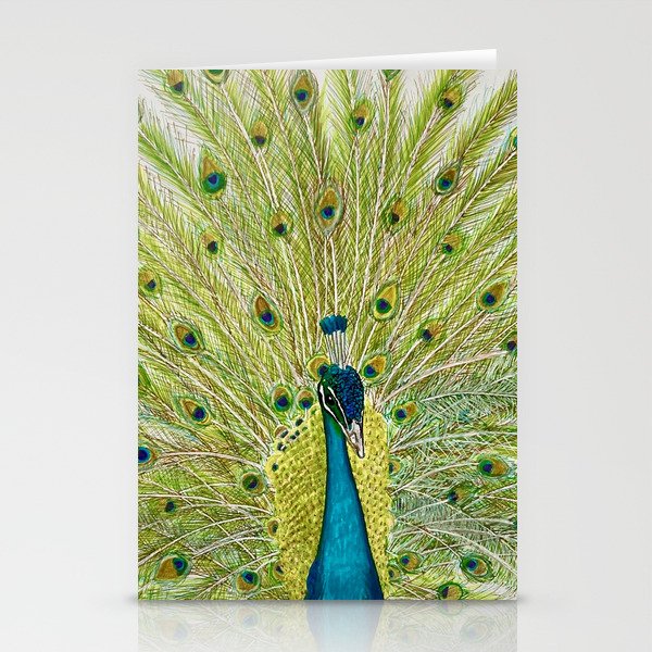 peacock Stationery Cards