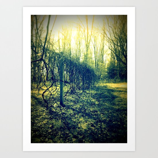 Tangled Vines Art Print