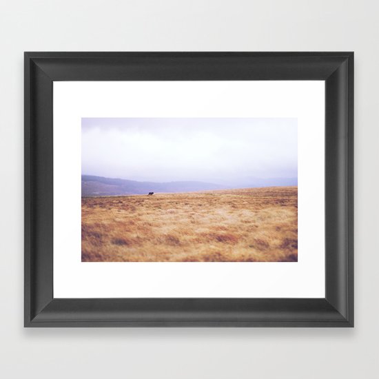 Mini Horse Framed Art Print