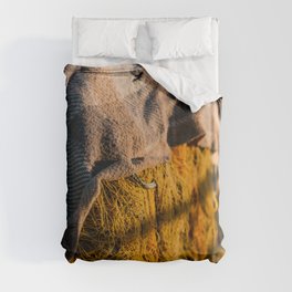 Fishers Net | Marine Life in Greece, Europe | Travel Photography in South of Europe Duvet Cover