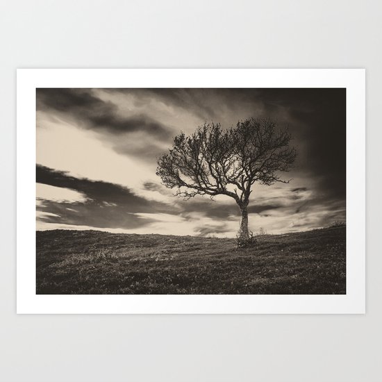 Lonely tree Art Print