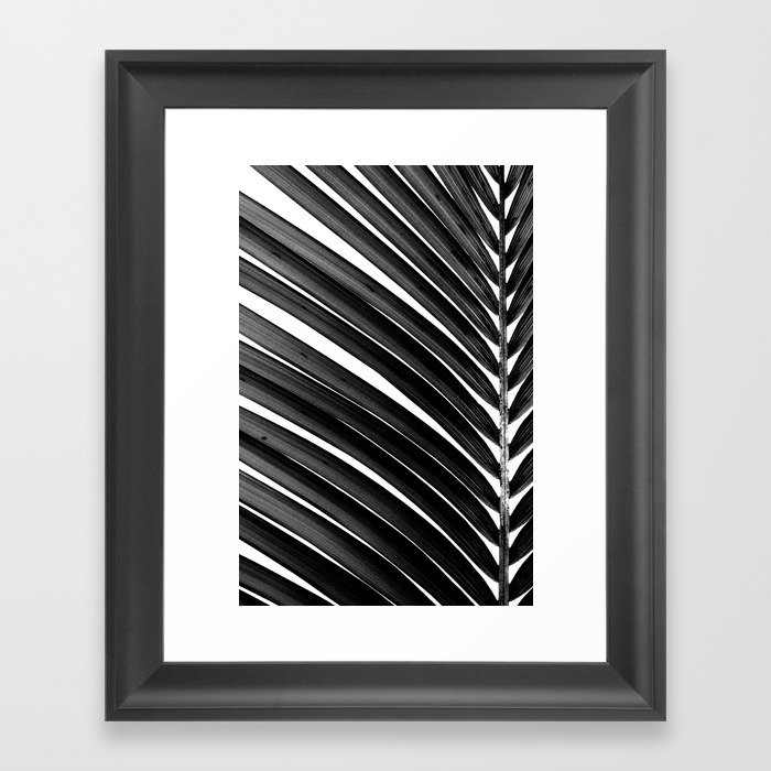 Palm Trees #294 Framed Art Print