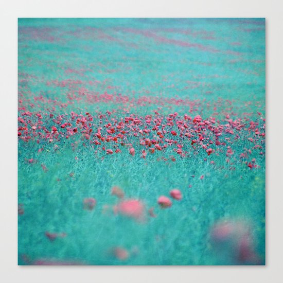 summer thoughts Canvas Print