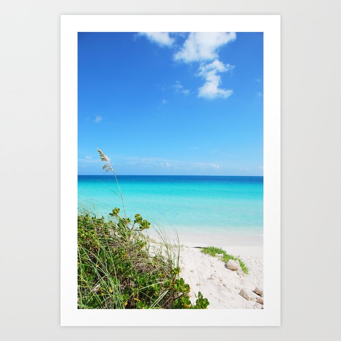 Art Print