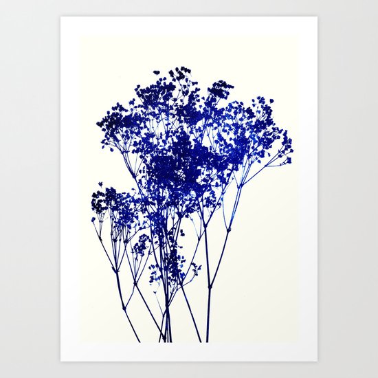 babys breath 1 Art Print